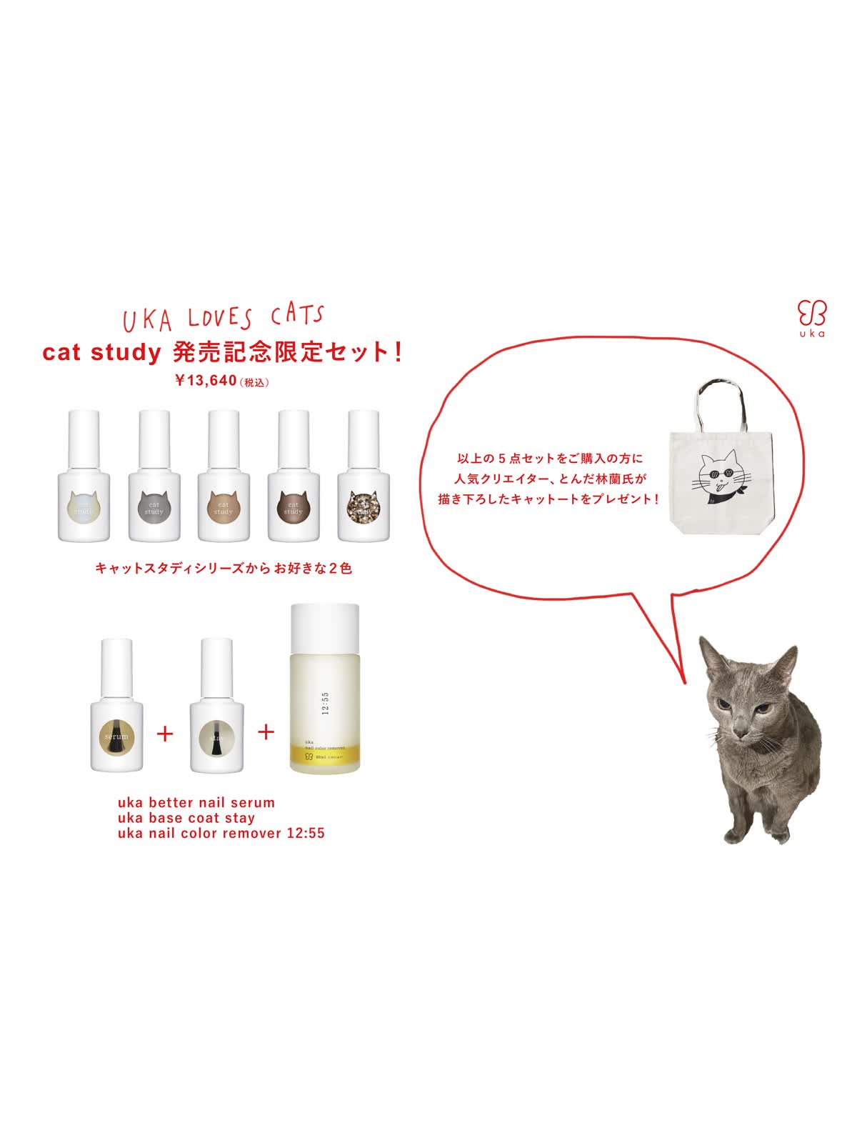 uka cat study。2月15日(木)よりukainnさま限定で事前予約スタート