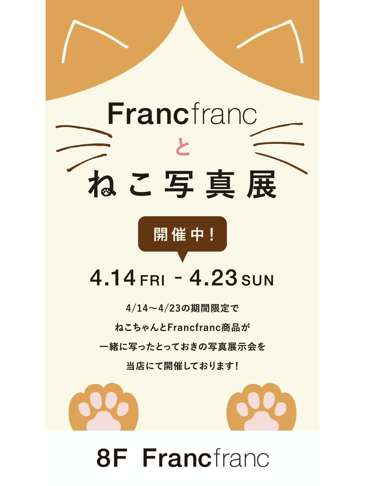 本日よりスタート！> Francfrancとねこ写真展〜お客さまのねこちゃんと