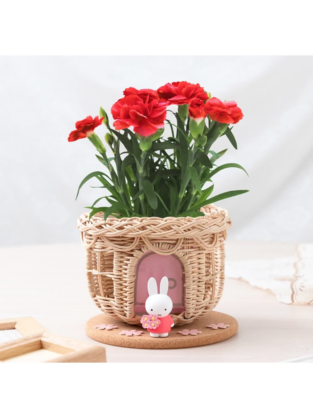 母の日配送フラワーギフトご予約受付中♪ - LUCUA osaka（ルクア大阪）