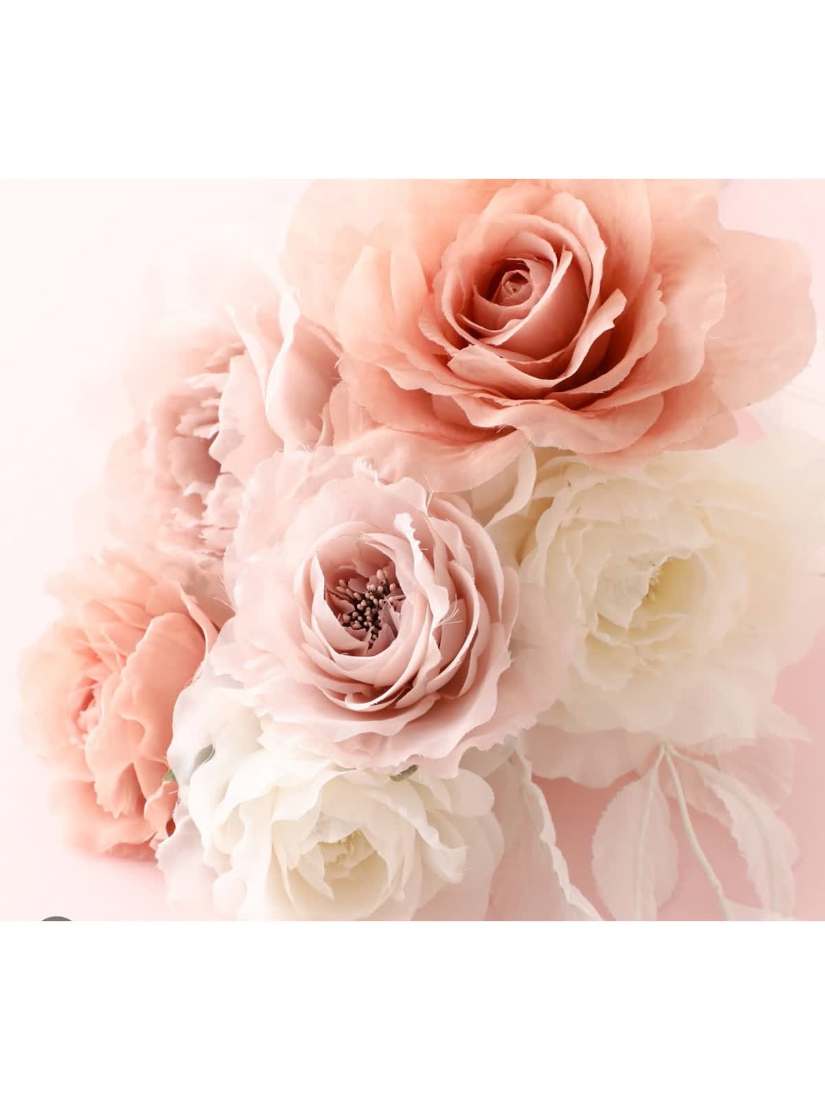 花柄 テクスチャーアート ボタニカル フランフラン 桜 SAKURA 桜の絵 花柄 テクスチャーアート ボタニカル フランフラン 桜 SAKURA 桜の絵